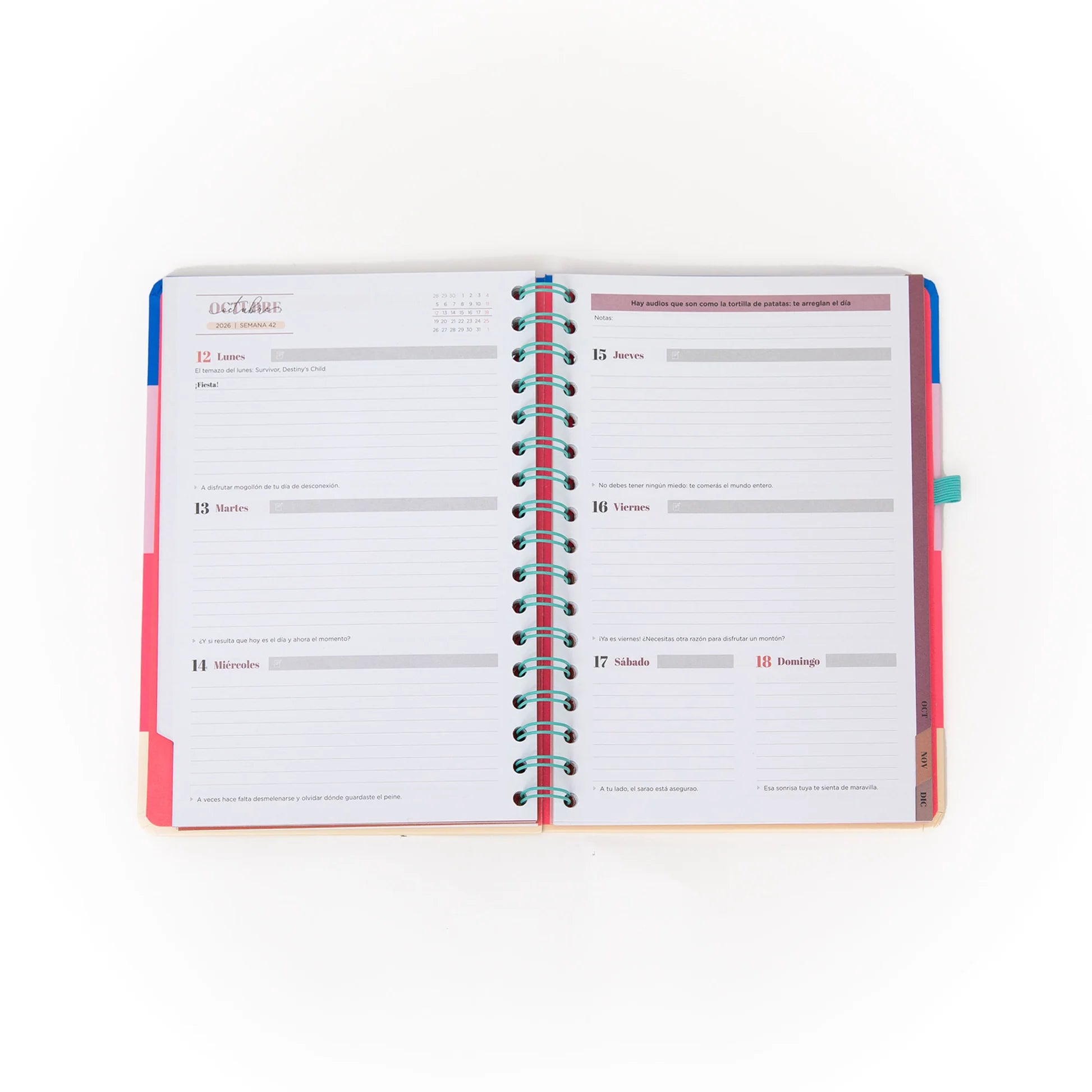 2026 weekly planner with colorful cover, teal elastic band, and erasable pen from Funky Confetti