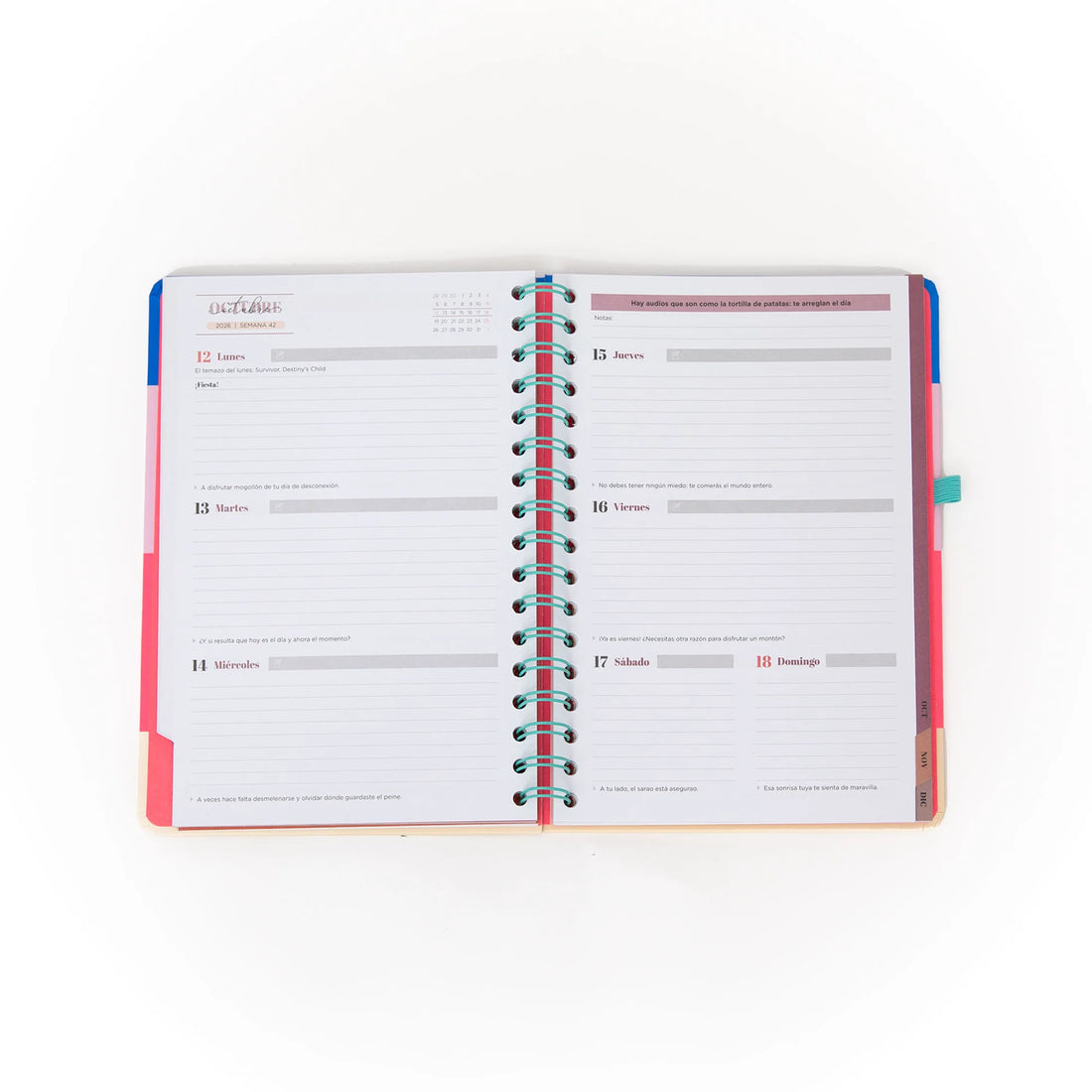 2026 weekly planner with colorful cover, teal elastic band, and erasable pen from Funky Confetti