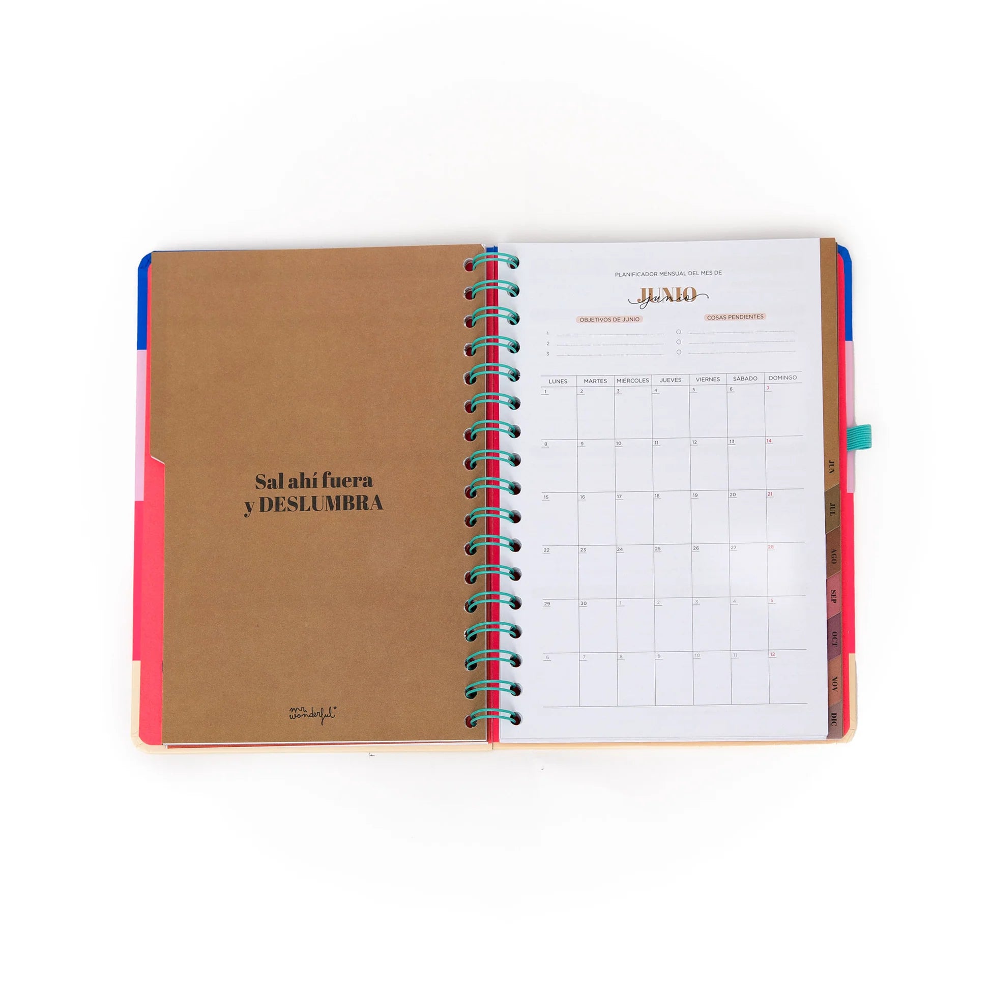 2026 weekly planner with colorful cover, teal elastic band, and erasable pen from Funky Confetti