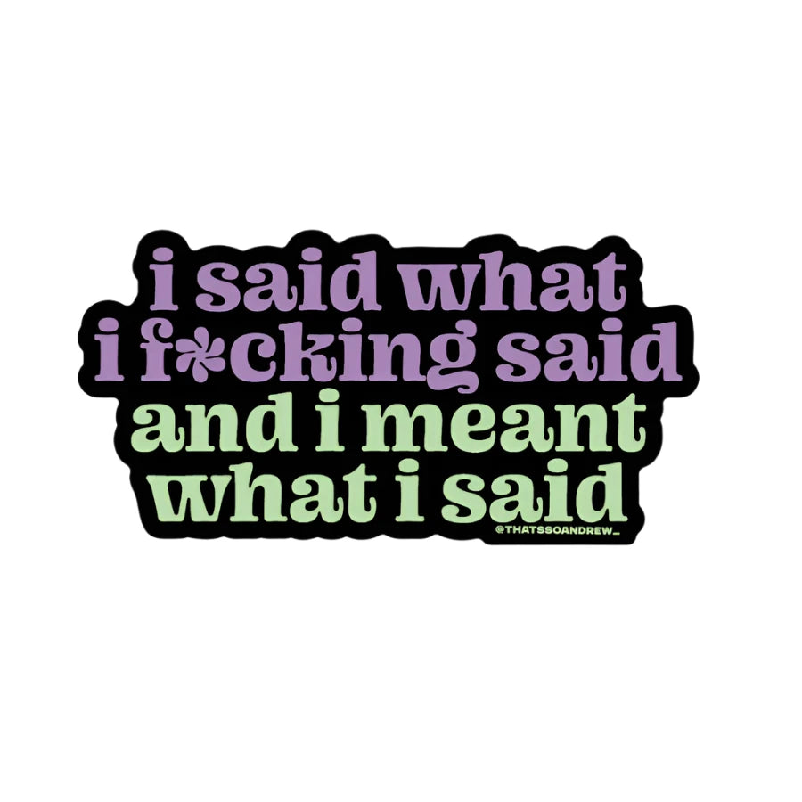 Sticker with bold pastel text saying “I said what I f*cking said and I meant what I said” on black background – Funky Confetti