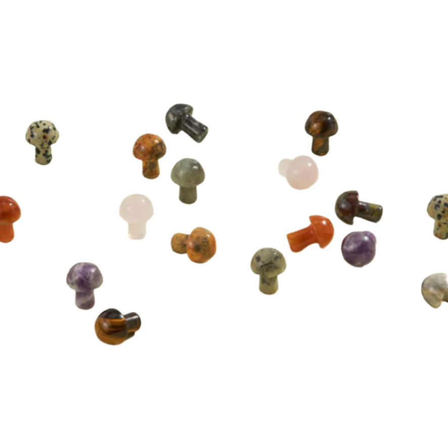 Assorted hand-carved mini mushroom crystals in Amethyst, Tiger’s Eye, Jasper, Agate and more – Funky Confetti