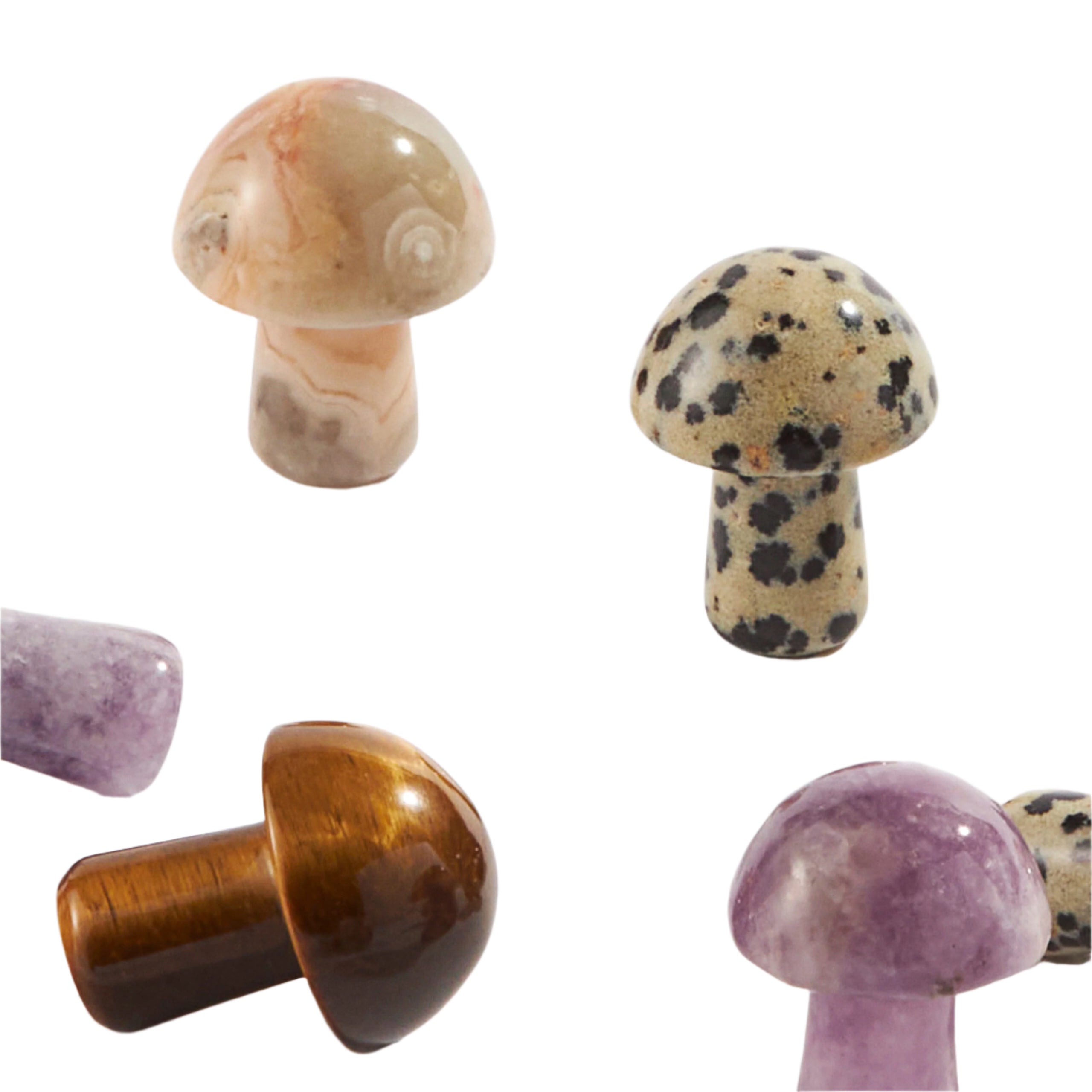 Assorted hand-carved mini mushroom crystals in Amethyst, Tiger’s Eye, Jasper, Agate and more – Funky Confetti