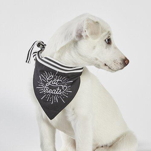 Treats Pet Bandana - Funky Confetti