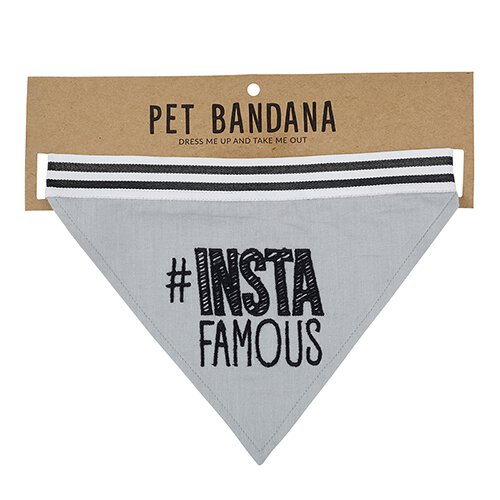 #Insta Pet Bandana
