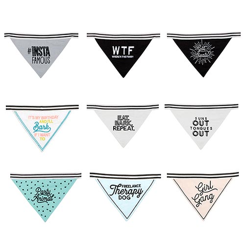 #Insta Pet Bandana