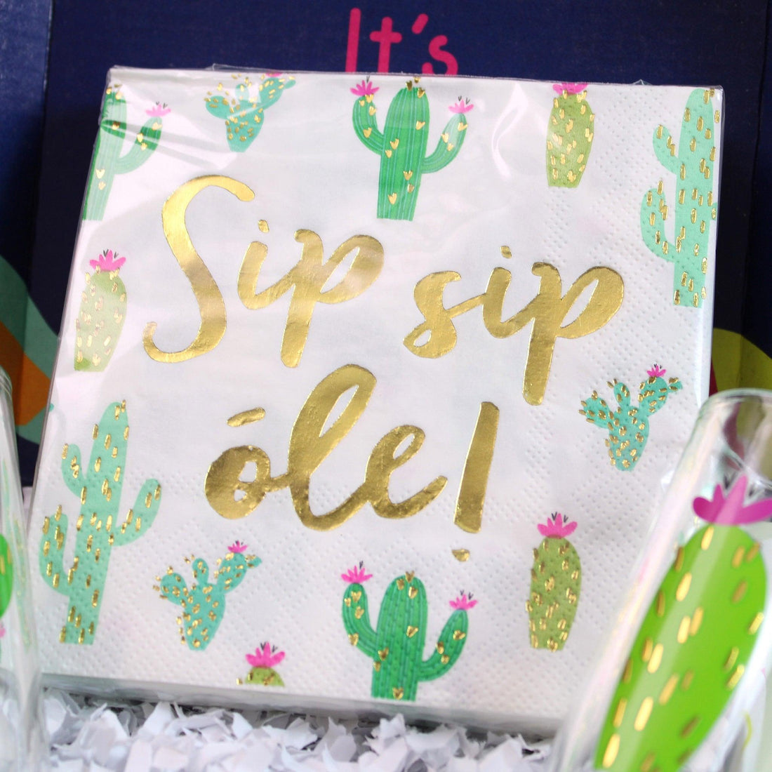 Cactus Lover Basic Funky Box - Funky Confetti